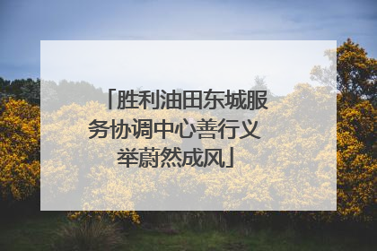 胜利油田东城服务协调中心善行义举蔚然成风
