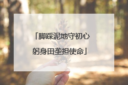 脚踩泥地守初心 躬身田垄担使命