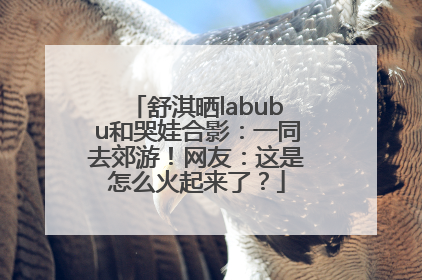 舒淇晒labubu和哭娃合影：一同去郊游！网友：这是怎么火起来了？