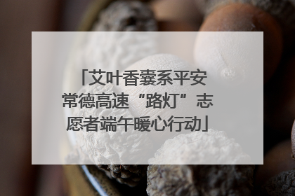 艾叶香囊系平安 常德高速“路灯”志愿者端午暖心行动
