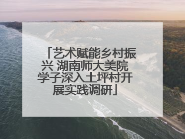 艺术赋能乡村振兴 湖南师大美院学子深入土坪村开展实践调研