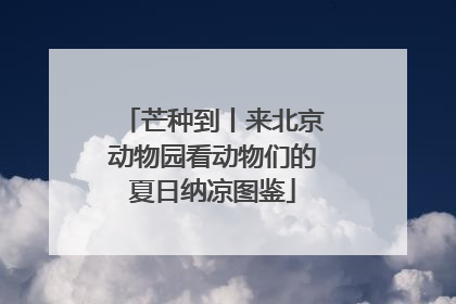 芒种到丨来北京动物园看动物们的夏日纳凉图鉴