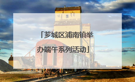 芗城区浦南镇举办端午系列活动