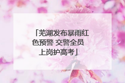 芜湖发布暴雨红色预警 交警全员上岗护高考