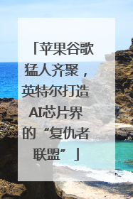 苹果谷歌猛人齐聚，英特尔打造AI芯片界的“复仇者联盟”