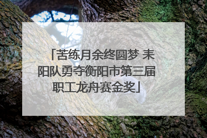 苦练月余终圆梦 耒阳队勇夺衡阳市第三届职工龙舟赛金奖
