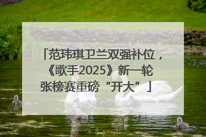 范玮琪卫兰双强补位，《歌手2025》新一轮张榜赛重磅“开大”