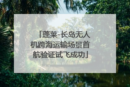 蓬莱-长岛无人机跨海运输场景首航验证试飞成功