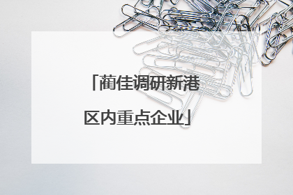 蔺佳调研新港区内重点企业
