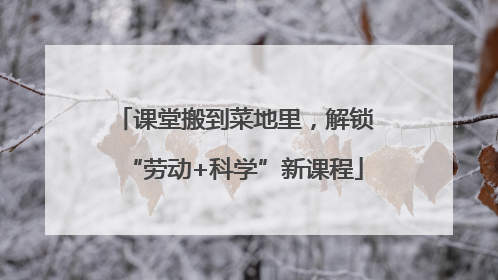 课堂搬到菜地里，解锁“劳动+科学”新课程