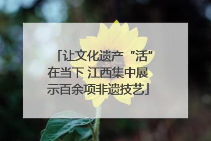 让文化遗产“活”在当下 江西集中展示百余项非遗技艺