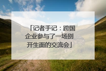 记者手记：跨国企业参与了一场别开生面的交流会