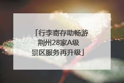 行李寄存助畅游 荆州28家A级景区服务再升级