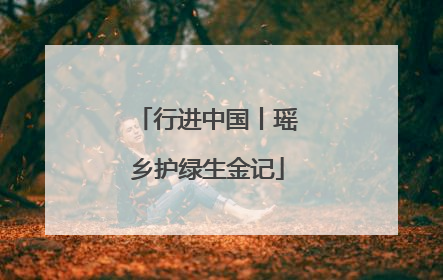 行进中国丨瑶乡护绿生金记