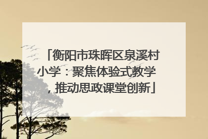 衡阳市珠晖区泉溪村小学：聚焦体验式教学，推动思政课堂创新