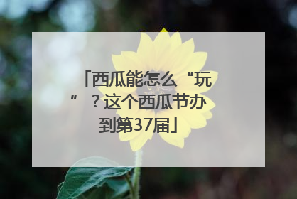 西瓜能怎么“玩”？这个西瓜节办到第37届