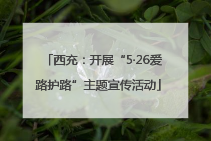 西充：开展“5·26爱路护路”主题宣传活动