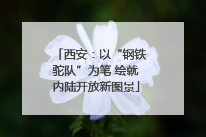 西安：以“钢铁驼队”为笔 绘就内陆开放新图景