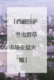 西藏拉萨：冬虫夏草市场交易火爆