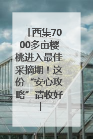 西集7000多亩樱桃进入最佳采摘期！这份“安心攻略”请收好