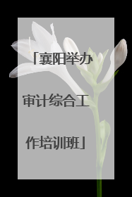 襄阳举办审计综合工作培训班