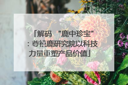 解码 “鹿中珍宝”：尊禧鹿研究院以科技力量重塑产品价值