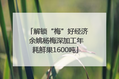 解锁“梅”好经济 余姚杨梅深加工年耗鲜果1600吨