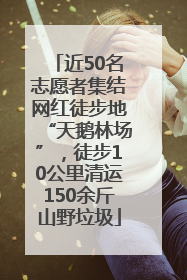 近50名志愿者集结网红徒步地“天鹅林场”，徒步10公里清运150余斤山野垃圾