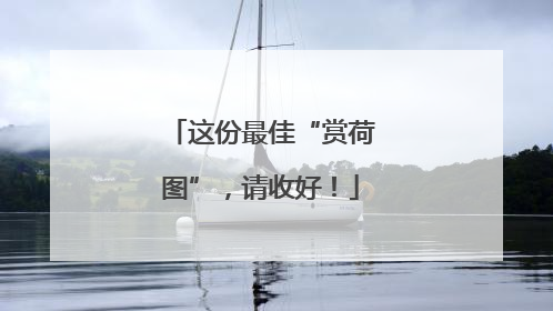 这份最佳“赏荷图”，请收好！