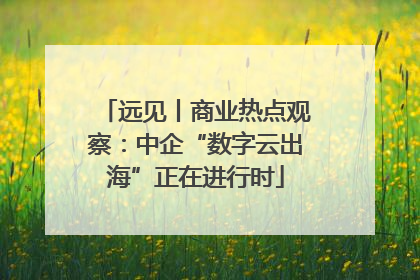 远见丨商业热点观察：中企“数字云出海”正在进行时