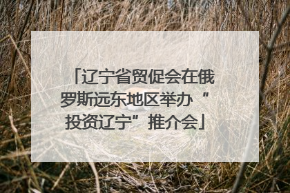 辽宁省贸促会在俄罗斯远东地区举办“投资辽宁”推介会