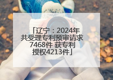 辽宁：2024年共受理专利预审请求7468件 获专利授权4213件