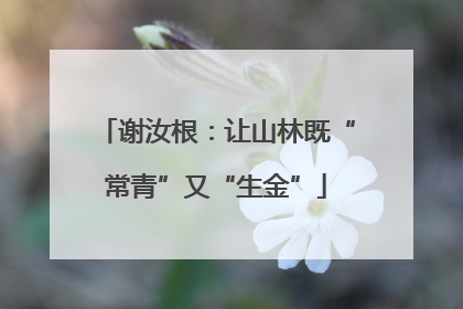谢汝根：让山林既“常青”又“生金”
