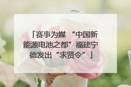 赛事为媒 “中国新能源电池之都”福建宁德发出“求贤令”