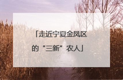 走近宁夏金凤区的“三新”农人