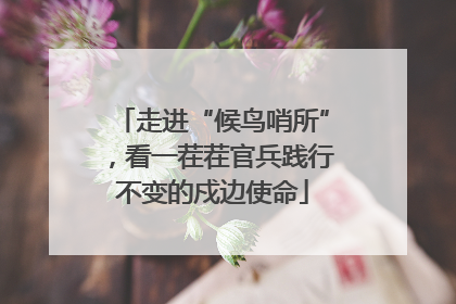 走进“候鸟哨所”，看一茬茬官兵践行不变的戍边使命
