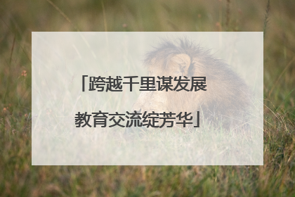 跨越千里谋发展 教育交流绽芳华