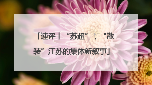 速评丨“苏超”,“散装”江苏的集体新叙事