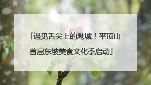 遇见舌尖上的鹰城！平顶山首届东坡美食文化季启动