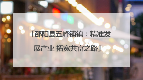 邵阳县五峰铺镇：精准发展产业 拓宽共富之路