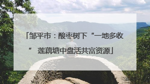 邹平市：酸枣树下“一地多收” 莲藕塘中盘活共富资源