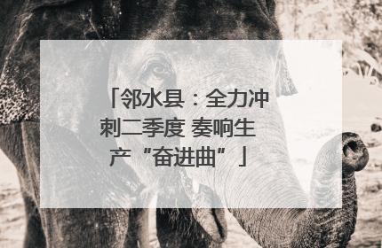 邻水县：全力冲刺二季度 奏响生产“奋进曲”