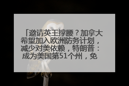 邀请英王撑腰？加拿大希望加入欧洲防务计划，减少对美依赖，特朗普：成为美国第51个州，免费用“金穹”
