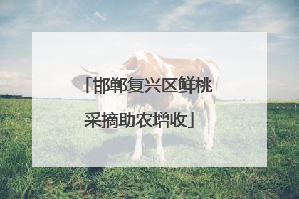 邯郸复兴区鲜桃采摘助农增收
