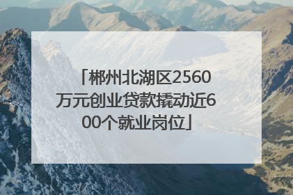 郴州北湖区2560万元创业贷款撬动近600个就业岗位