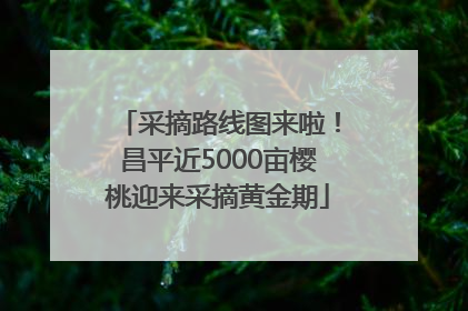 采摘路线图来啦！昌平近5000亩樱桃迎来采摘黄金期