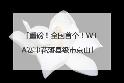 重磅！全国首个！WTA赛事花落县级市京山
