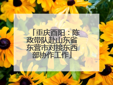 重庆酉阳：陈政带队赴山东省东营市对接东西部协作工作