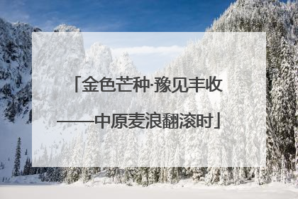 金色芒种·豫见丰收——中原麦浪翻滚时