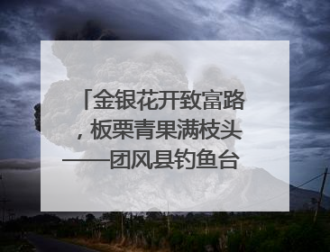 金银花开致富路，板栗青果满枝头——团风县钓鱼台村“山水生金”谱写共富新篇章